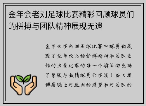 金年会老刘足球比赛精彩回顾球员们的拼搏与团队精神展现无遗